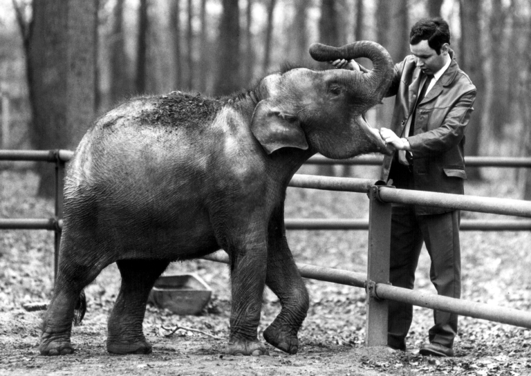 70 Jahre Tierpark - Wir feiern am 21.09.2024